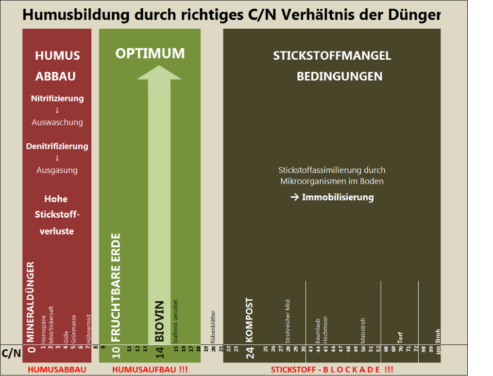 Diagramm: Darstellung des optimalen Verhältnisses zwischen organischem Kohlenstoff und Stickstoff in Düngern