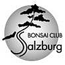 Logo des Bonsai Club Salzburg