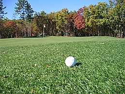 Foto: Golfball auf dem Golfplatzrasen liegend